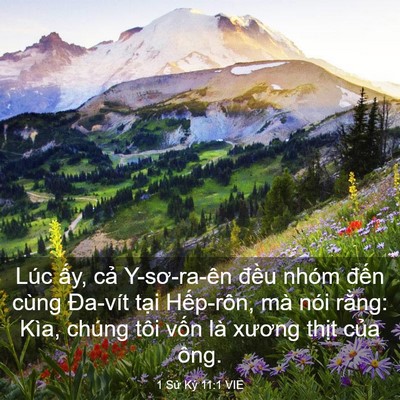 Picture 03 - 1 Sử Ký 11:1 VIE - Lúc ấy, cả Y-sơ-ra-ên đều nhóm đến - Bible Verse Picture