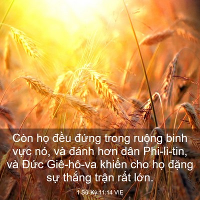 Picture 03 - 1 Sử Ký 11:14 VIE - Còn họ đều đứng trong ruộng binh vực - Bible Verse Picture