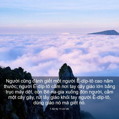 Picture 03 - 1 Sử Ký 11:23 VIE - Người cũng đánh giết một người - Bible Verse Picture