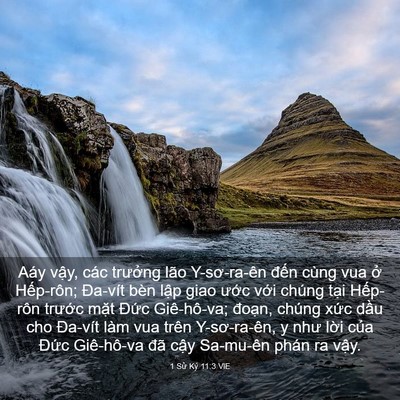 Picture 03 - 1 Sử Ký 11:3 VIE - Aáy vậy, các trưởng lão Y-sơ-ra-ên - Bible Verse Picture