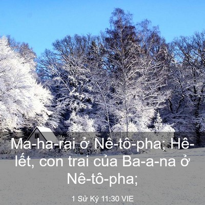 Picture 03 - 1 Sử Ký 11:30 VIE - Ma-ha-rai ở Nê-tô-pha; Hê-lết, con trai - Bible Verse Picture