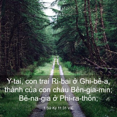 Picture 03 - 1 Sử Ký 11:31 VIE - Y-tai, con trai Ri-bai ở Ghi-bê-a, thành - Bible Verse Picture