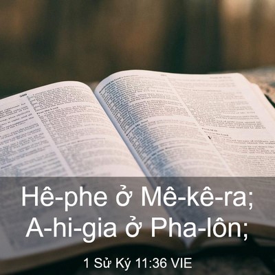 Picture 03 - 1 Sử Ký 11:36 VIE - Hê-phe ở Mê-kê-ra; A-hi-gia ở - Bible Verse Picture