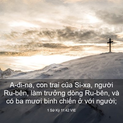 Picture 03 - 1 Sử Ký 11:42 VIE - A-đi-na, con trai của Si-xa, người Ru-bên, - Bible Verse Picture