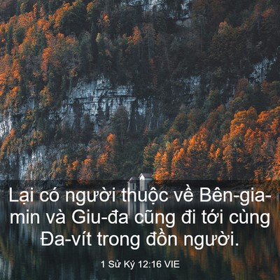 Picture 03 - 1 Sử Ký 12:16 VIE - Lại có người thuộc về Bên-gia-min và - Bible Verse Picture