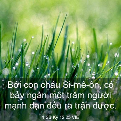 Picture 03 - 1 Sử Ký 12:25 VIE - Bởi con cháu Si-mê-ôn, có bảy ngàn một - Bible Verse Picture