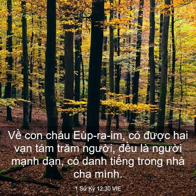 Picture 03 - 1 Sử Ký 12:30 VIE - Về con cháu Eùp-ra-im, có được hai vạn - Bible Verse Picture