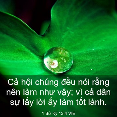 Picture 03 - 1 Sử Ký 13:4 VIE - Cả hội chúng đều nói rằng nên làm - Bible Verse Picture