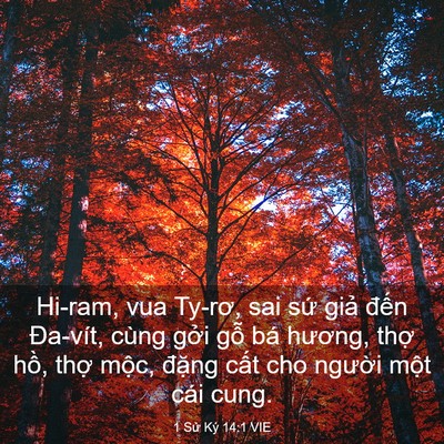 Picture 03 - 1 Sử Ký 14:1 VIE - Hi-ram, vua Ty-rơ, sai sứ giả đến - Bible Verse Picture