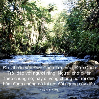 Picture 03 - 1 Sử Ký 14:14 VIE - Đa-vít cầu vấn Đức Chúa Trời nữa; - Bible Verse Picture