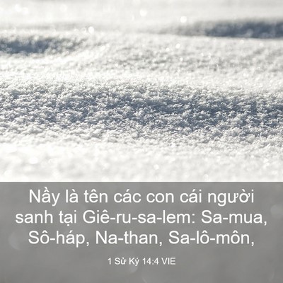 Picture 03 - 1 Sử Ký 14:4 VIE - Nầy là tên các con cái người sanh tại - Bible Verse Picture
