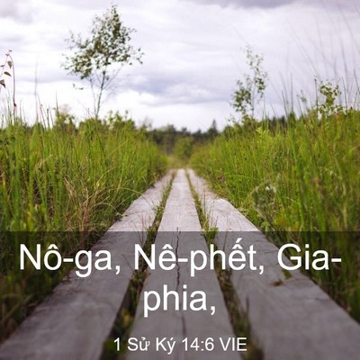 Picture 03 - 1 Sử Ký 14:6 VIE - Nô-ga, Nê-phết, - Bible Verse Picture
