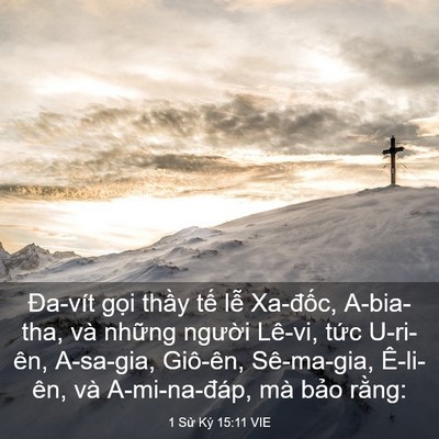 Picture 03 - 1 Sử Ký 15:11 VIE - Đa-vít gọi thầy tế lễ Xa-đốc, - Bible Verse Picture