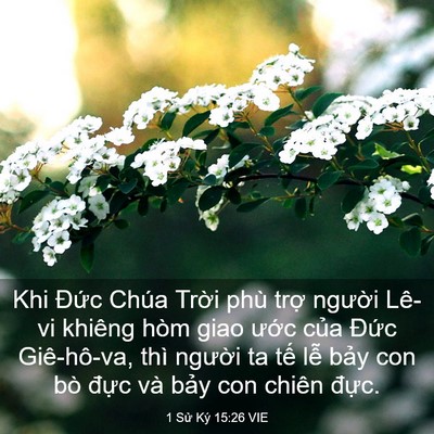 Picture 03 - 1 Sử Ký 15:26 VIE - Khi Đức Chúa Trời phù trợ người - Bible Verse Picture