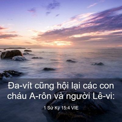 Picture 03 - 1 Sử Ký 15:4 VIE - Đa-vít cũng hội lại các con cháu A-rôn - Bible Verse Picture