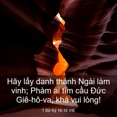 Picture 03 - 1 Sử Ký 16:10 VIE - Hãy lấy danh thánh Ngài làm vinh; Phàm ai - Bible Verse Picture