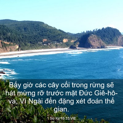 Picture 03 - 1 Sử Ký 16:33 VIE - Bấy giờ các cây cối trong rừng sẽ - Bible Verse Picture