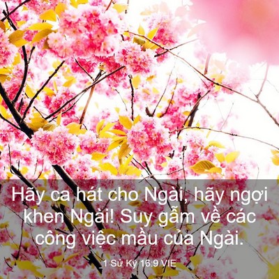 Picture 03 - 1 Sử Ký 16:9 VIE - Hãy ca hát cho Ngài, hãy ngợi khen Ngài! - Bible Verse Picture