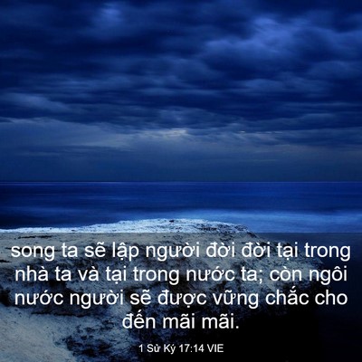 Picture 03 - 1 Sử Ký 17:14 VIE - song ta sẽ lập người đời đời tại - Bible Verse Picture