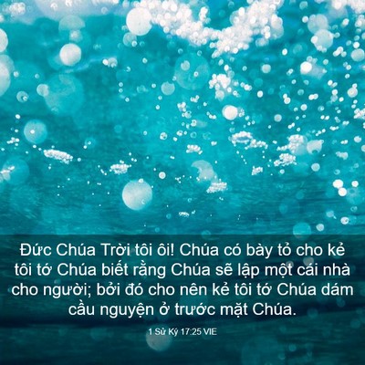 Picture 03 - 1 Sử Ký 17:25 VIE - Đức Chúa Trời tôi ôi! Chúa có bày tỏ - Bible Verse Picture