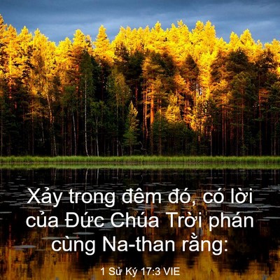 Picture 03 - 1 Sử Ký 17:3 VIE - Xảy trong đêm đó, có lời của Đức - Bible Verse Picture