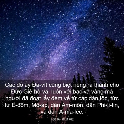 Picture 03 - 1 Sử Ký 18:11 VIE - Các đồ ấy Đa-vít cũng biệt riêng ra - Bible Verse Picture