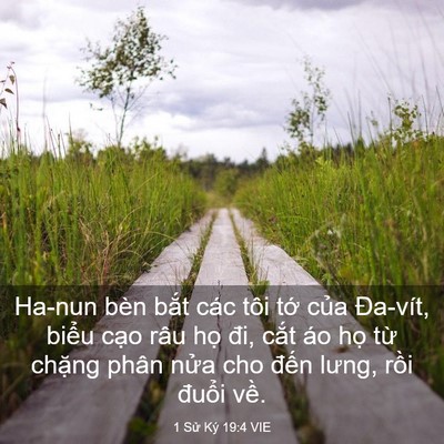 Picture 03 - 1 Sử Ký 19:4 VIE - Ha-nun bèn bắt các tôi tớ của Đa-vít, - Bible Verse Picture