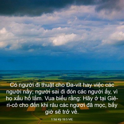 Picture 03 - 1 Sử Ký 19:5 VIE - Có người đi thuật cho Đa-vít hay việc - Bible Verse Picture