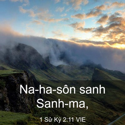 Picture 03 - 1 Sử Ký 2:11 VIE - Na-ha-sôn sanh - Bible Verse Picture