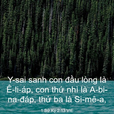 Picture 03 - 1 Sử Ký 2:13 VIE - Y-sai sanh con đầu lòng là Ê-li-áp, con - Bible Verse Picture