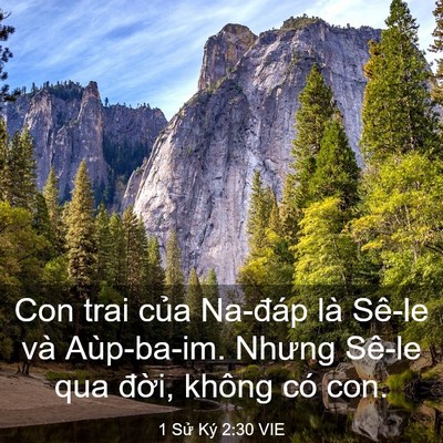 Picture 03 - 1 Sử Ký 2:30 VIE - Con trai của Na-đáp là Sê-le và - Bible Verse Picture