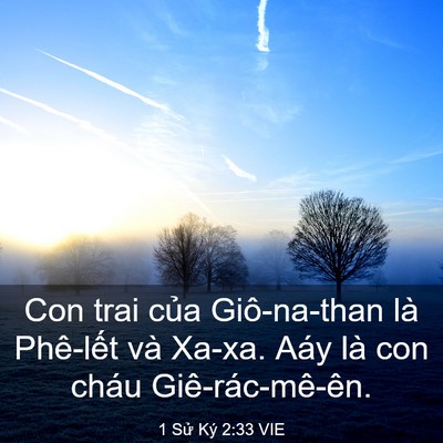 Picture 03 - 1 Sử Ký 2:33 VIE - Con trai của Giô-na-than là Phê-lết và - Bible Verse Picture
