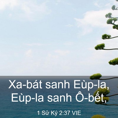 Picture 03 - 1 Sử Ký 2:37 VIE - Xa-bát sanh Eùp-la, Eùp-la sanh - Bible Verse Picture