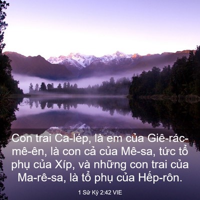 Picture 03 - 1 Sử Ký 2:42 VIE - Con trai Ca-lép, là em của Giê-rác-mê-ên, - Bible Verse Picture