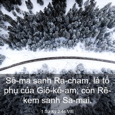 Picture 03 - 1 Sử Ký 2:44 VIE - Sê-ma sanh Ra-cham, là tổ phụ của - Bible Verse Picture