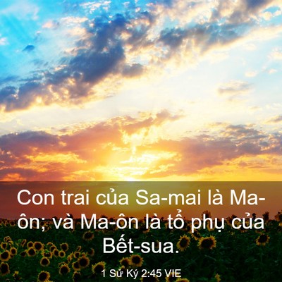 Picture 03 - 1 Sử Ký 2:45 VIE - Con trai của Sa-mai là Ma-ôn; và Ma-ôn là - Bible Verse Picture