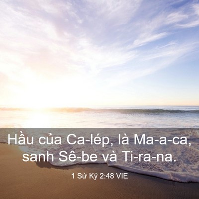 Picture 03 - 1 Sử Ký 2:48 VIE - Hầu của Ca-lép, là Ma-a-ca, sanh Sê-be và - Bible Verse Picture