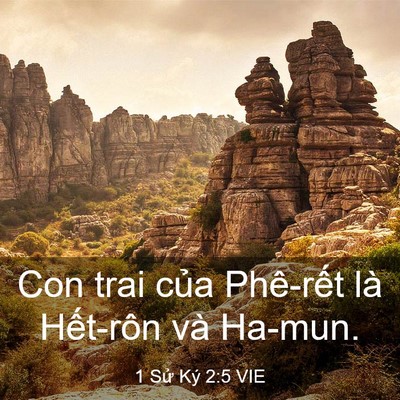 Picture 03 - 1 Sử Ký 2:5 VIE - Con trai của Phê-rết là Hết-rôn và - Bible Verse Picture