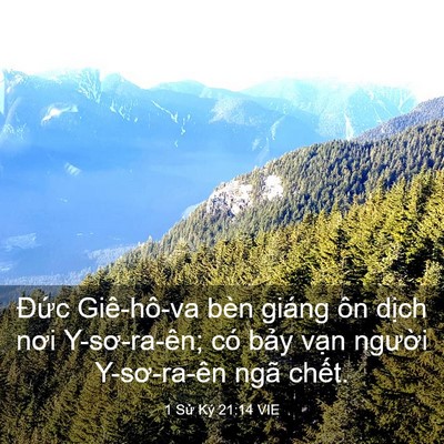 Picture 03 - 1 Sử Ký 21:14 VIE - Đức Giê-hô-va bèn giáng ôn dịch nơi - Bible Verse Picture