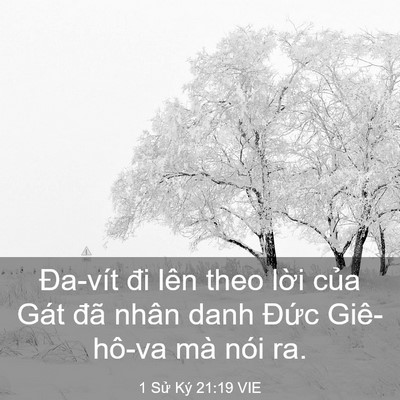 Picture 03 - 1 Sử Ký 21:19 VIE - Đa-vít đi lên theo lời của Gát đã - Bible Verse Picture