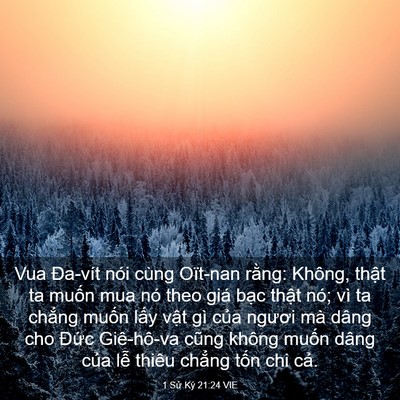 Picture 03 - 1 Sử Ký 21:24 VIE - Vua Đa-vít nói cùng Oït-nan rằng: Không, - Bible Verse Picture