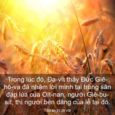 Picture 03 - 1 Sử Ký 21:28 VIE - Trong lúc đó, Đa-vít thấy Đức - Bible Verse Picture