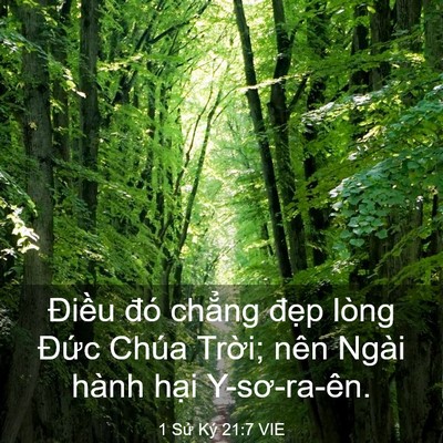 Picture 03 - 1 Sử Ký 21:7 VIE - Điều đó chẳng đẹp lòng Đức Chúa - Bible Verse Picture