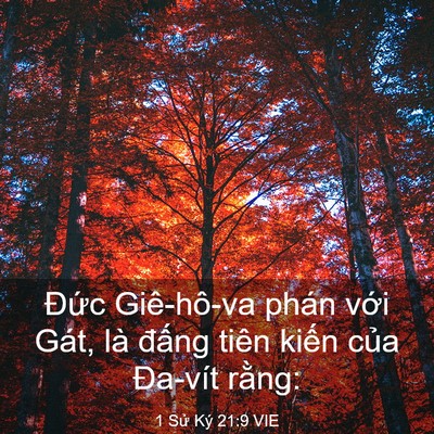 Picture 03 - 1 Sử Ký 21:9 VIE - Đức Giê-hô-va phán với Gát, là đấng - Bible Verse Picture