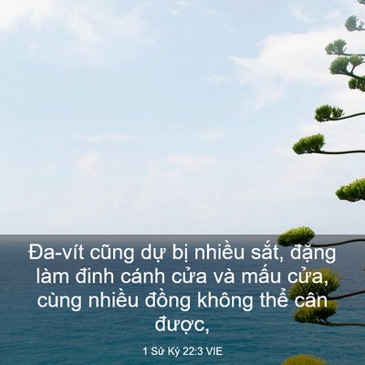 Picture 03 - 1 Sử Ký 22:3 VIE - Đa-vít cũng dự bị nhiều sắt, đặng - Bible Verse Picture