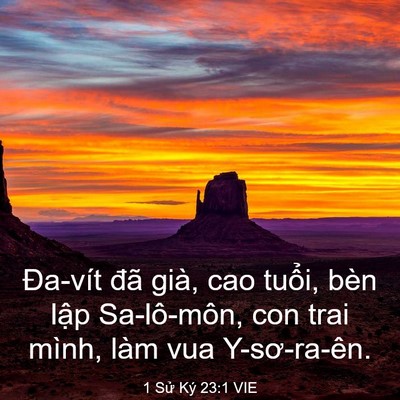 Picture 03 - 1 Sử Ký 23:1 VIE - Đa-vít đã già, cao tuổi, bèn lập - Bible Verse Picture