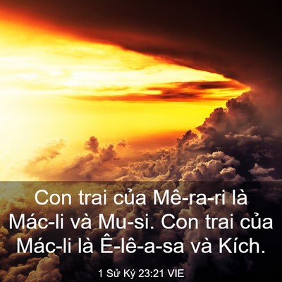 Picture 03 - 1 Sử Ký 23:21 VIE - Con trai của Mê-ra-ri là Mác-li và Mu-si. - Bible Verse Picture