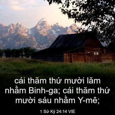 Picture 03 - 1 Sử Ký 24:14 VIE - cái thăm thứ mười lăm nhằm Binh-ga; - Bible Verse Picture