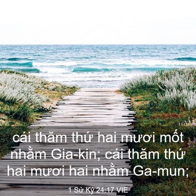 Picture 03 - 1 Sử Ký 24:17 VIE - cái thăm thứ hai mươi mốt nhằm Gia-kin; - Bible Verse Picture