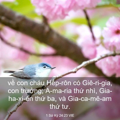 Picture 03 - 1 Sử Ký 24:23 VIE - về con cháu Hếp-rôn có Giê-ri-gia, con - Bible Verse Picture